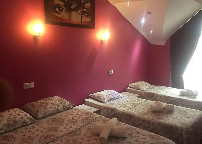 ホテル Yanki サパンジャ